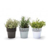 Горщик для квітів Ламела Роса 17 см 658