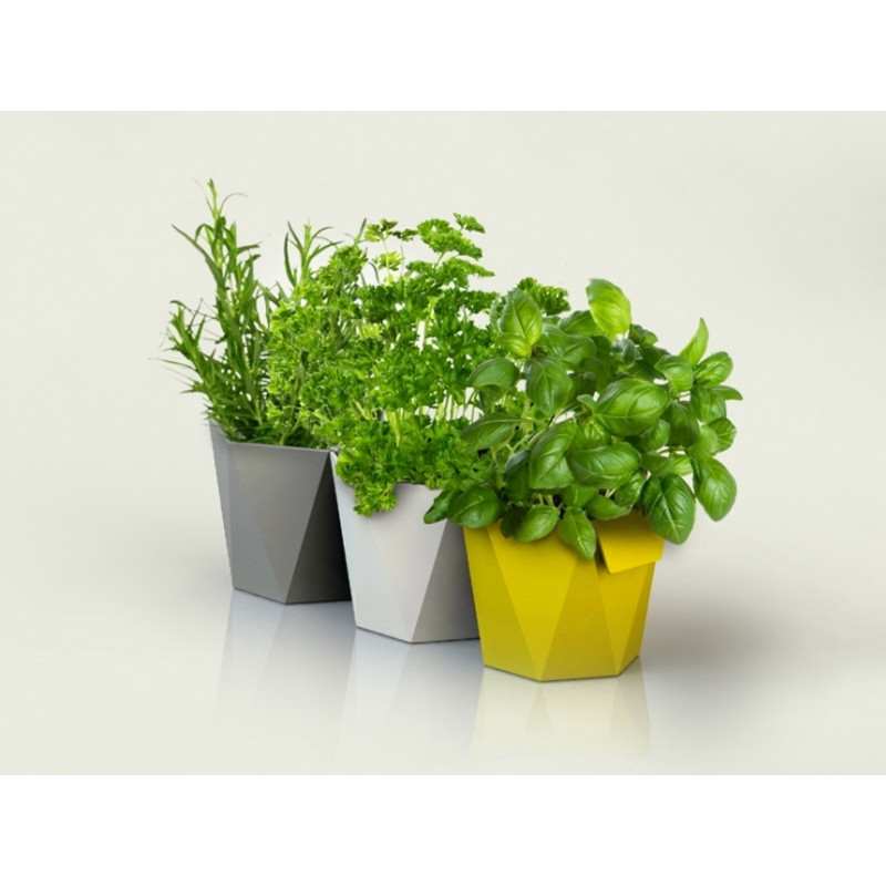 Горщик для зелені Ламела Хеца 12,5 см 636  - Кремовий