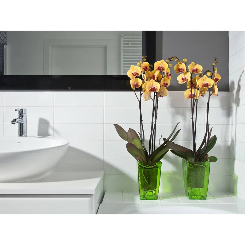 Горщик для орхідей Ламела Фінезія 12,5 см 377  - Золотистий