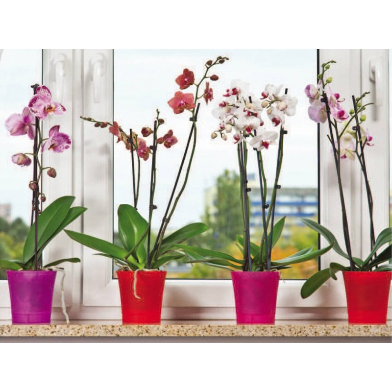 Горщик для орхідей Ламела Орхідея 12,5 см 376 