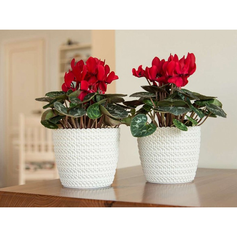 Цветочный горшок Ламела Магнолия Джерси 19 см 733