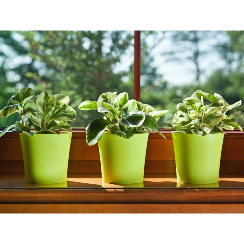 Горщик для квітів Ламела Фіалка 12,5 см 386 