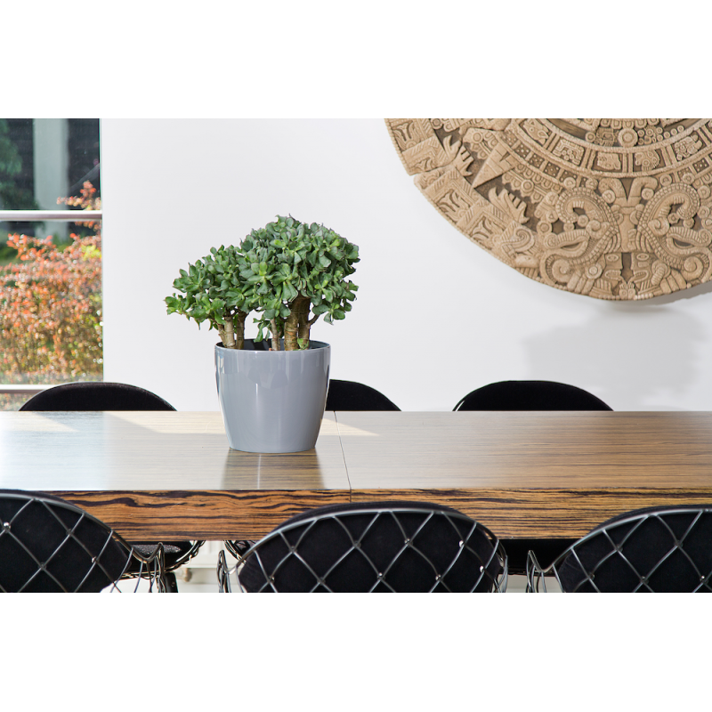 Горщик для квітів Ламела PL Магнолія 18 см 203 - Бежевий