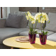 Горщик для орхідей Ламела Флора 12,5 см 378  - Рожевий Прозорий