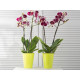 Горщик для орхідей Ламела Лілія 12,8 см 379 - Зелений Прозорий