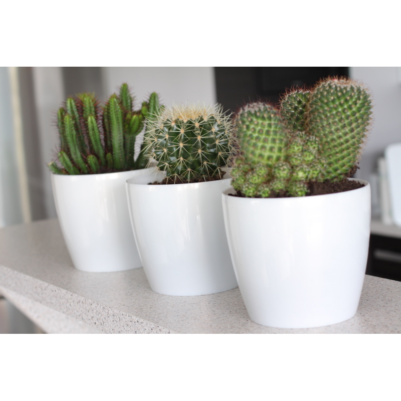 Цветочный горшок Ламела PL Магнолия 30 см 206