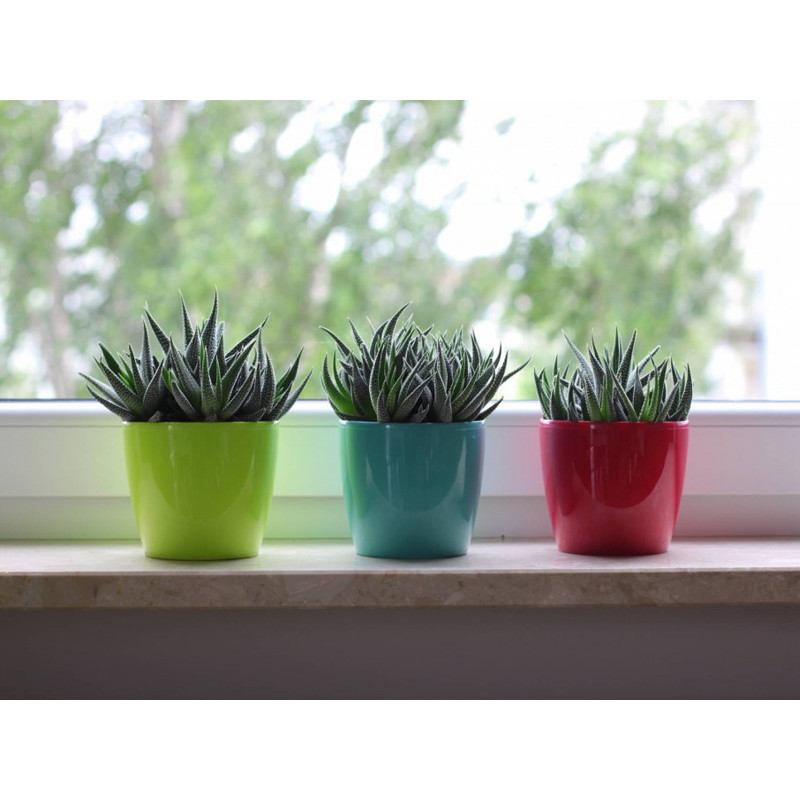 Горщик для квітів Ламела UA Магнолія 15,5 см 202