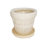 Горщик Туя Лабіринт білий 20 см - Оливковий