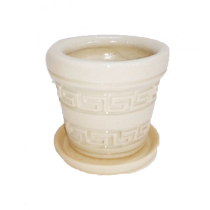 Горщик Туя Лабіринт білий 20 см - Оливковий