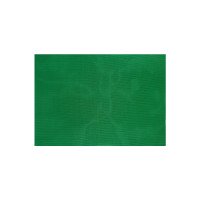Серветка-підставка ПВХ 0,45*0,30 м №8 зелений BD