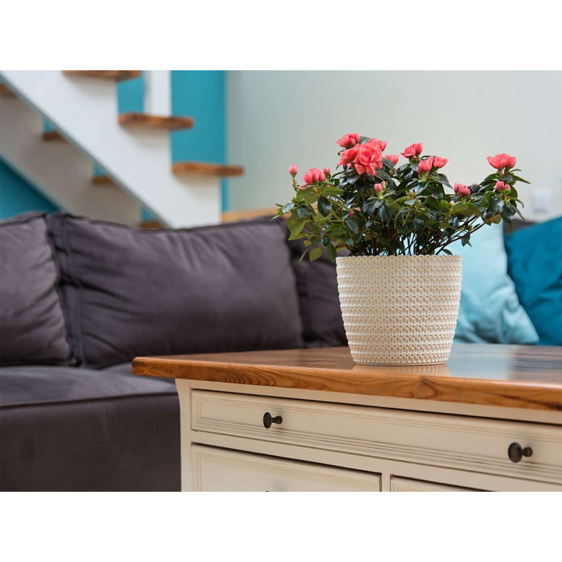 Горщик для квітів Ламела Магнолія Джерсі 14 см 731